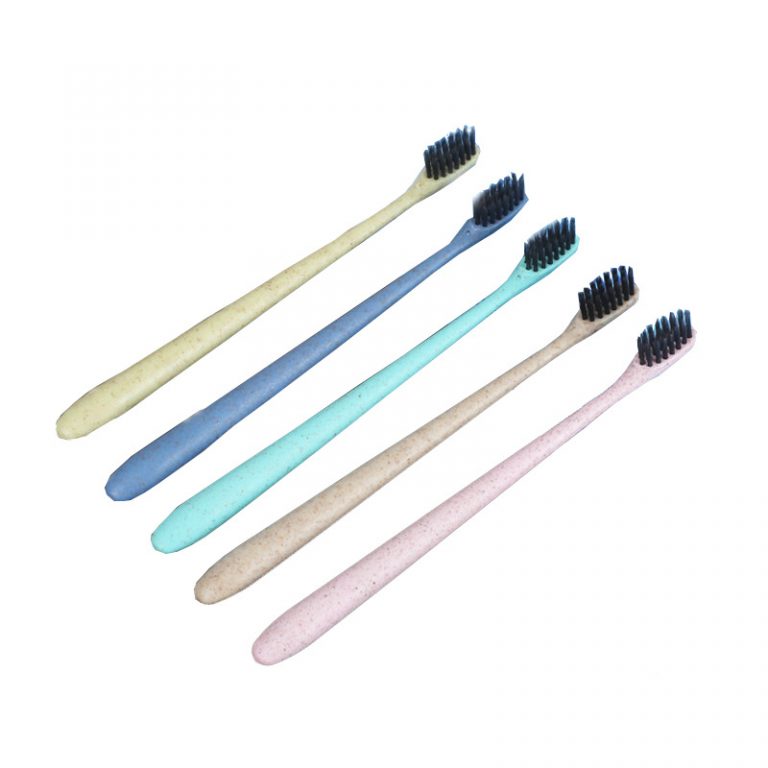 Disposable softbristled toothbrush TGN Toothbrush Manufacturers