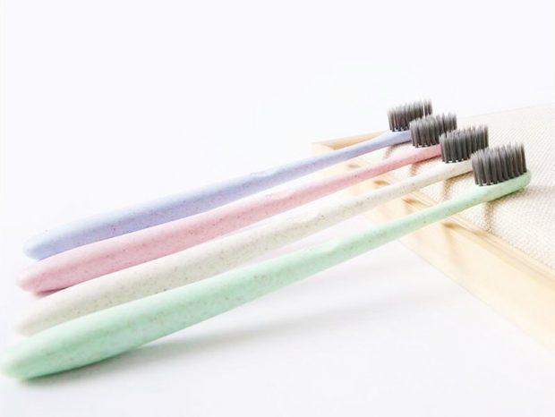 bamboo toothbrushes (1)