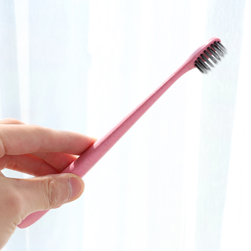 Fresh plain portable toothbrushes TGN Toothbrush Manufacturers