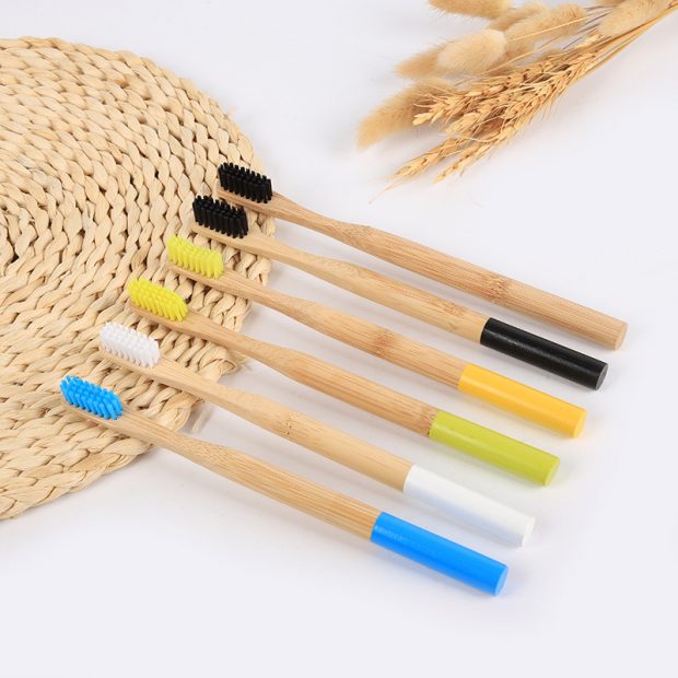 bamboo toothbrush (5)