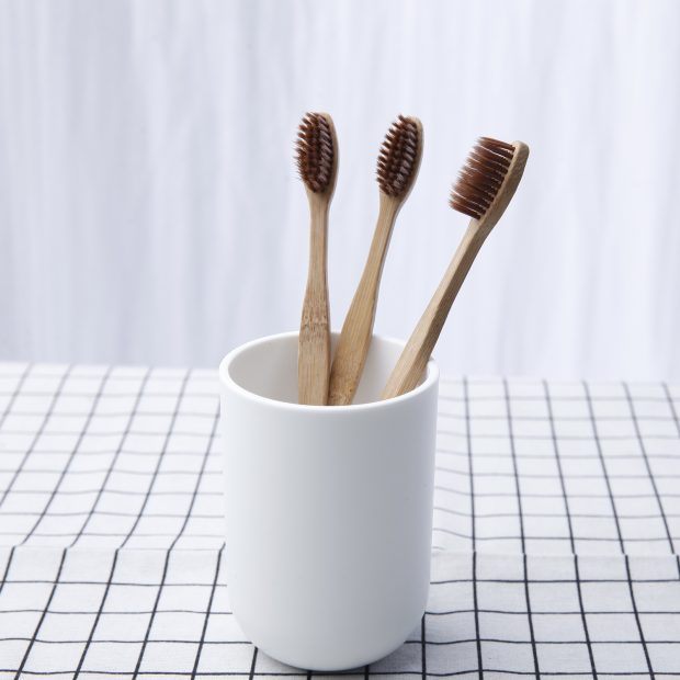 bamboo toothbrush (1)