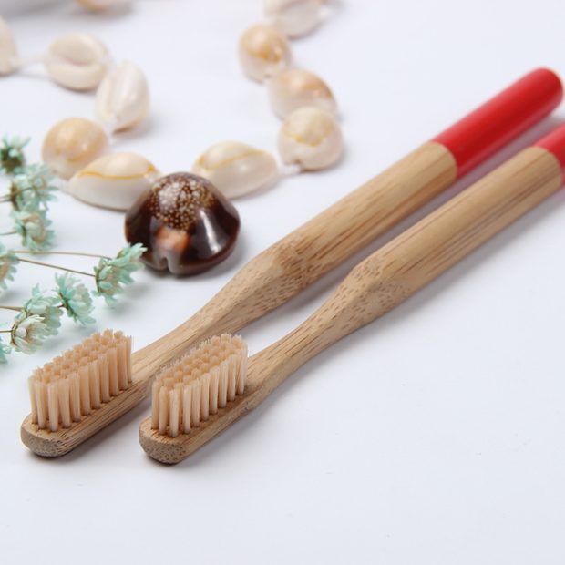 bamboo toothbrush (5)